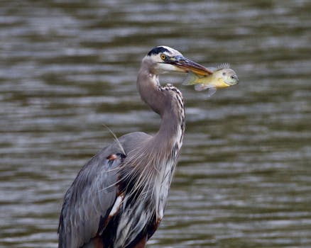 巴塞罗那MWC现场热议;大上行如何重塑智能体时代。 IT技术