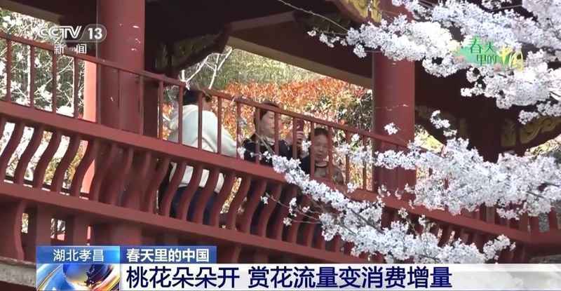 花开时节乡村焕新颜;多地探索赏花消费新路径;农文旅深度融合助力产业升级。 文化旅游 花开时节乡村焕新颜;多地探索赏花消费新路径;农文旅深度融合助力产业升级。 文化旅游