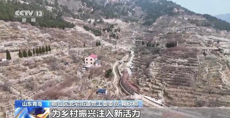 花开时节乡村焕新颜;多地探索赏花消费新路径;农文旅深度融合助力产业升级。 文化旅游 花开时节乡村焕新颜;多地探索赏花消费新路径;农文旅深度融合助力产业升级。 文化旅游