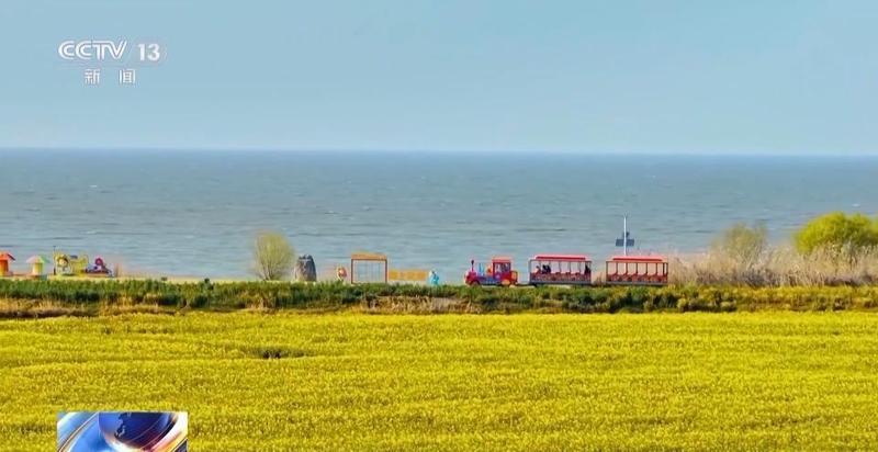 花开时节乡村焕新颜;多地探索赏花消费新路径;农文旅深度融合助力产业升级。 文化旅游 花开时节乡村焕新颜;多地探索赏花消费新路径;农文旅深度融合助力产业升级。 文化旅游