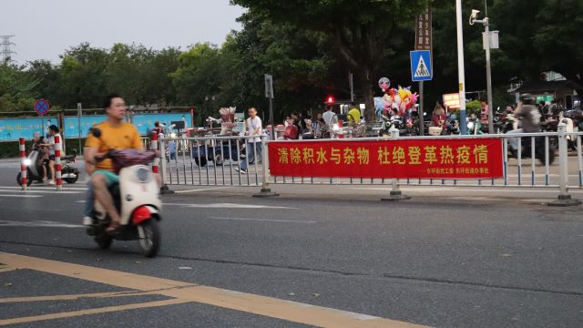  蚊媒疾病防控技术：输入性风险的深度批判与解构 IT技术 蚊媒疾病防控技术：输入性风险的深度批判与解构 IT技术
