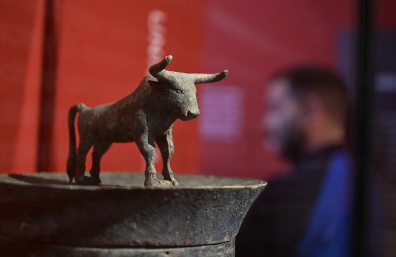 股市震荡期的生存法则·把握机构观测指标 股票财经 股市震荡期的生存法则·把握机构观测指标 股票财经