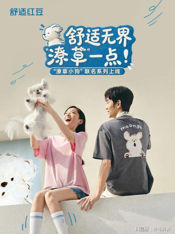 品牌联名IP价值解构：红豆×潦草小狗的年轻化战略深度拆解