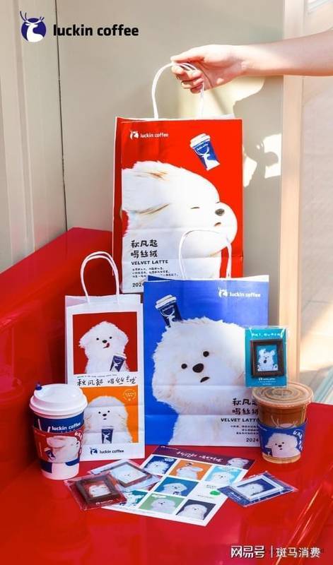  品牌联名IP价值解构：红豆×潦草小狗的年轻化战略深度拆解 企业服务