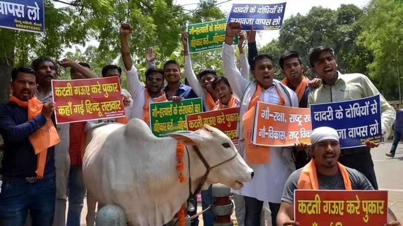  千年传播路：从阿拉伯商人到反转换法——伊斯兰教在印度的扩张困局与深层逻辑 文化旅游