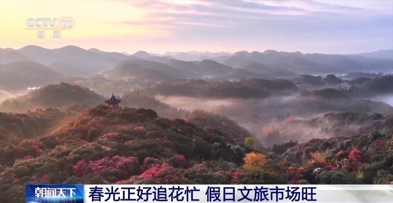  赏花经济数据解码：从搜索量到消费链的技术拆解与增长洞察 新闻