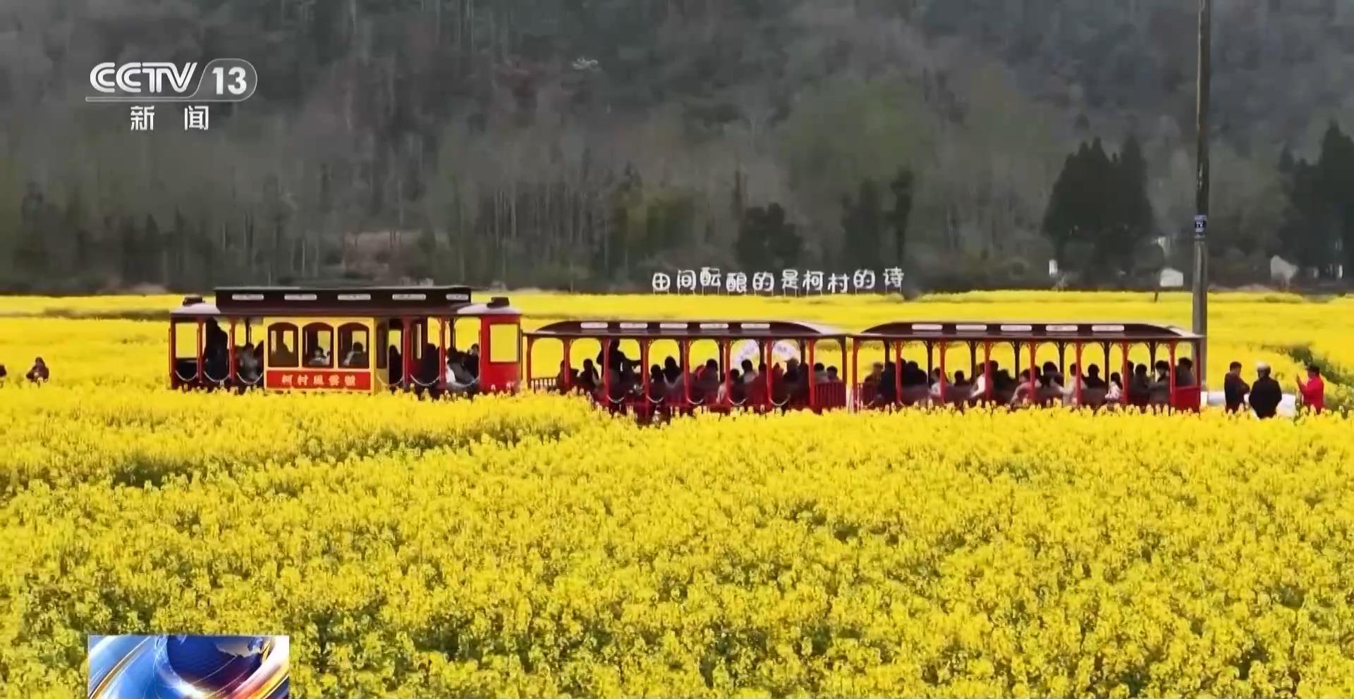  赏花经济数据解码：从搜索量到消费链的技术拆解与增长洞察 新闻