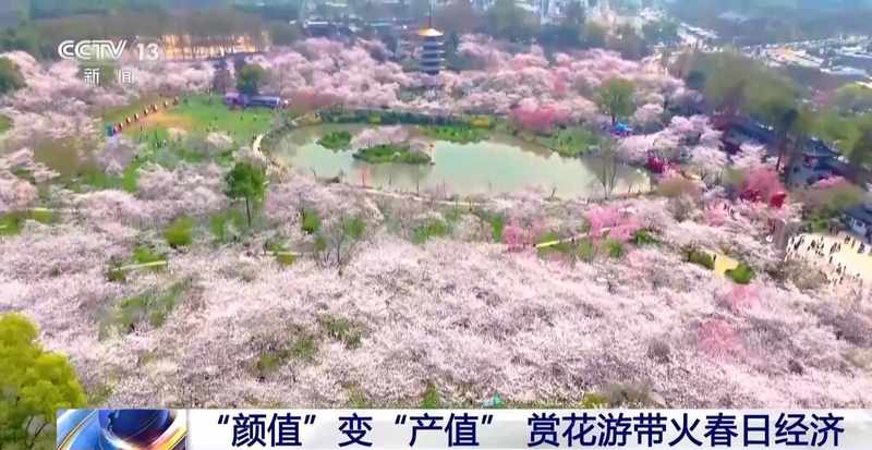  赏花经济数据解码：从搜索量到消费链的技术拆解与增长洞察 新闻