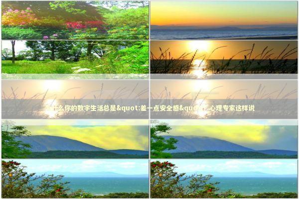 为什么你的数字生活总是"差一点安全感"？心理专家这样说 IT技术