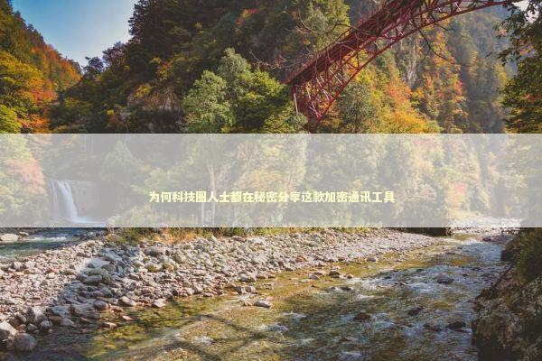 为何科技圈人士都在秘密分享这款加密通讯工具 IT技术