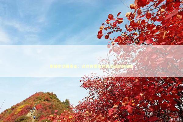 别被生活推着走：这对夫妻用存钱活出理想模样 新闻