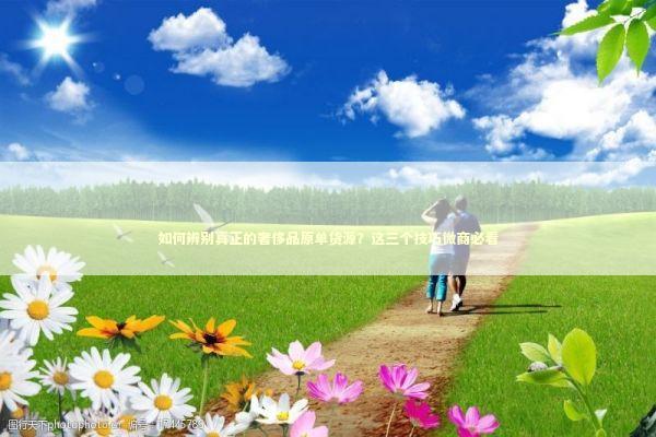 如何辨别真正的奢侈品原单货源？这三个技巧微商必看 企业服务