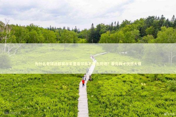 为什么老球迷都窝在家里看球而不是去现场？看完我才恍然大悟 体育新闻